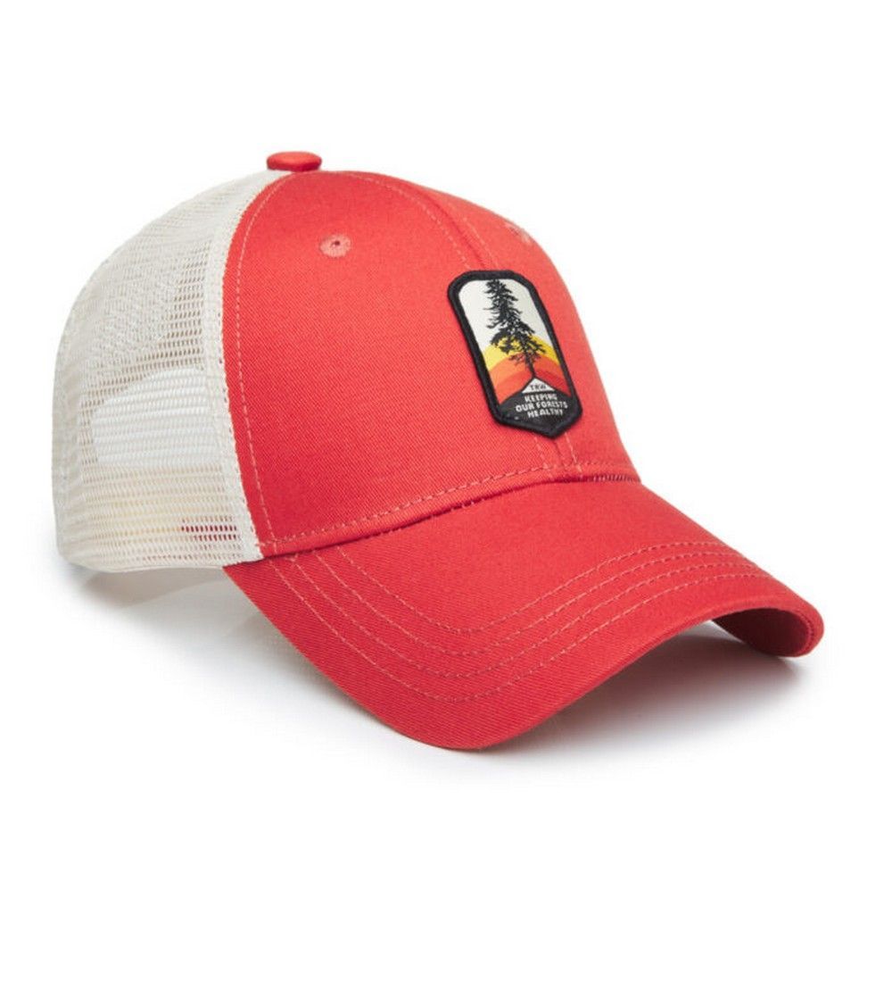 Gorras Trown Diseños Y Colores Unisex