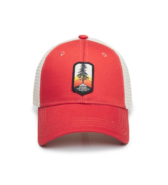 Gorra Trown Forest